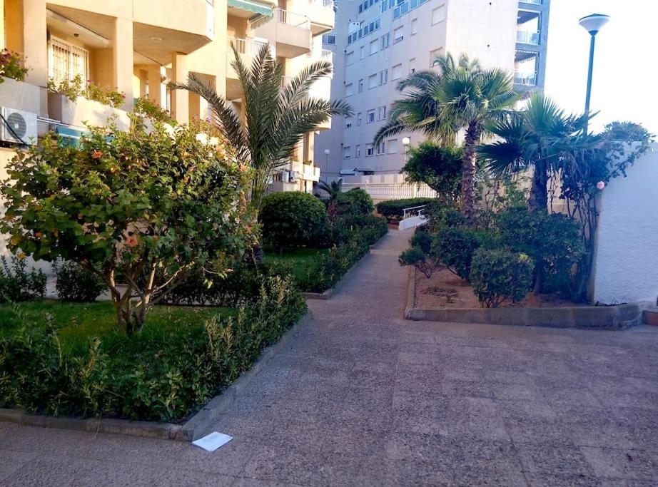 Apartamento En Primera Linea De Playa 木尔西亚 外观 照片